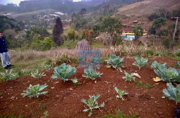 SITIO para venda Centro GUAPIARA