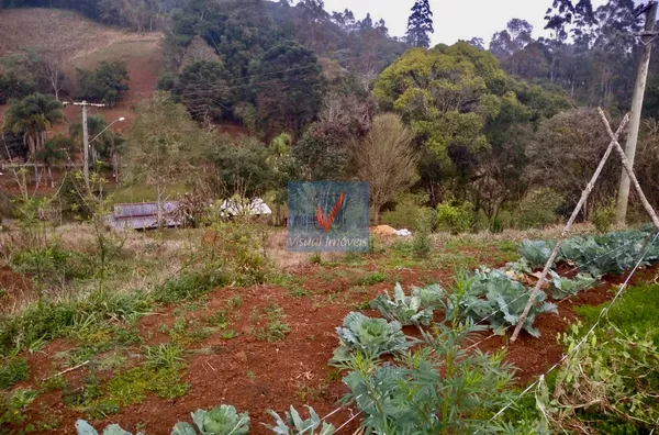 SITIO para venda Centro GUAPIARA