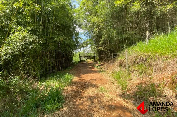 Sítio Próx. a Fazenda Passos da Pátria 