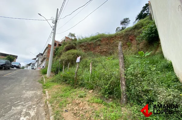 Lote 9 x 39 metros no bairro Democrata