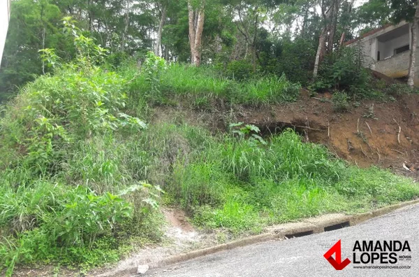 Lote - Santa Terezinha 