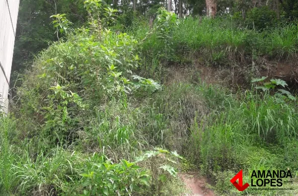 Lote - Santa Terezinha 