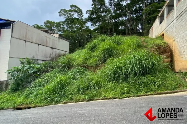 Lote - Santa Terezinha 