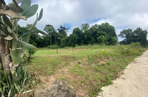 INVESTIMENTO COM EXCELENTE RETORNO PARA SUA FAMÍLIA