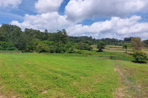 85% DE ÁREA DE PLANTIO E 2 AÇUDES COM ESTRUTURA PARA SETOR DA FUMICULTURA