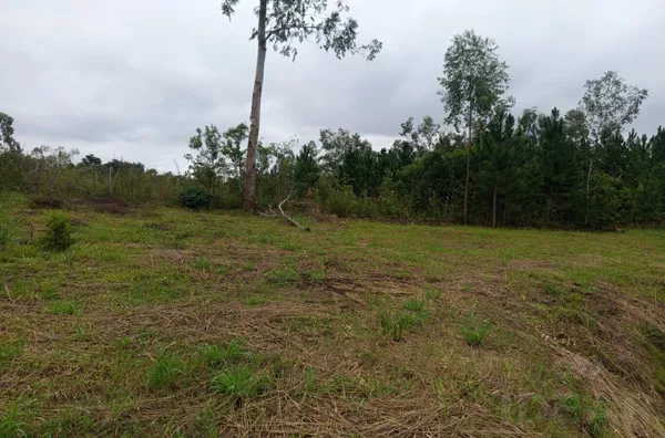 TROQUE O BARULHO DA CIDADE PELO CANTO DOS PÁSSAROS