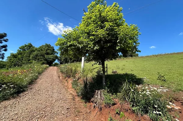 CHÁCARA COM 75% DE ÁREA PARA PLANTIO