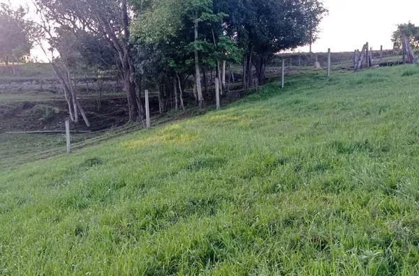 ESPAÇO DE SOBRA PARA REALIZAR SEUS SONHOS: horta, pomar e piscina