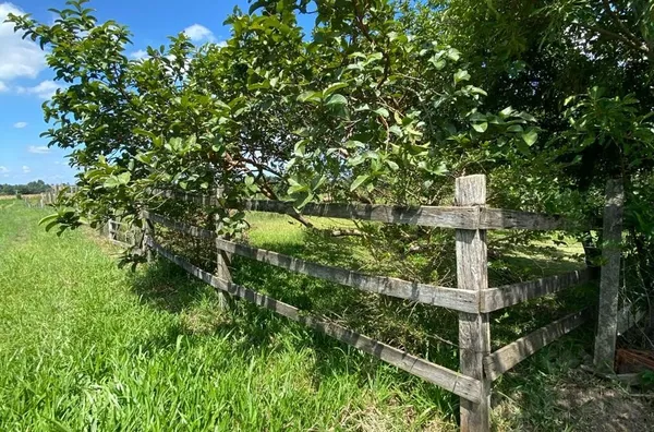 CHÁCARA DE 5.000m² IDEAL PARA FAZER ESPAÇO DE DESCANSO