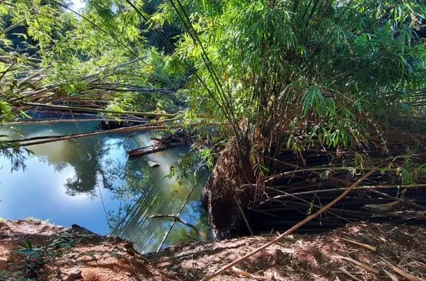 SEU ESPAÇO EM MEIO A NATUREZA. VENHA CONHECER!