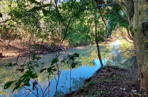SEU ESPAÇO EM MEIO A NATUREZA. VENHA CONHECER!