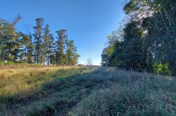 SEU ESPAÇO EM MEIO A NATUREZA. VENHA CONHECER!