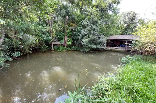 ÁREA DE LAZER COM MUITO VERDE, 2 AÇUDES E CHALÉ
