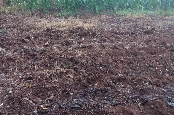 ÁREA DE TERRA DE 8,5ha PARA PLANTAR, CRIAR ANIMAIS E VIVER MUITO BEM NO MEIO AMBIENTE