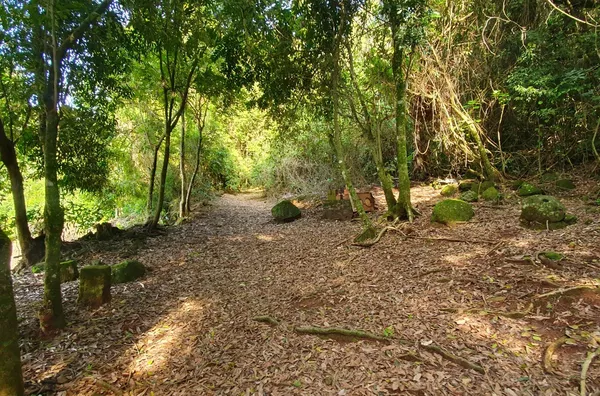 MUITA ÁREA VERDE PARA A TRANQUILIDADE DE TODA A FAMÍLIA