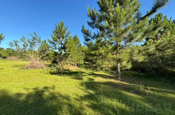 NADA MELHOR DO QUE ESTÁR EM MEIO A NATUREZA. A CRIATIVIDADE É SUA