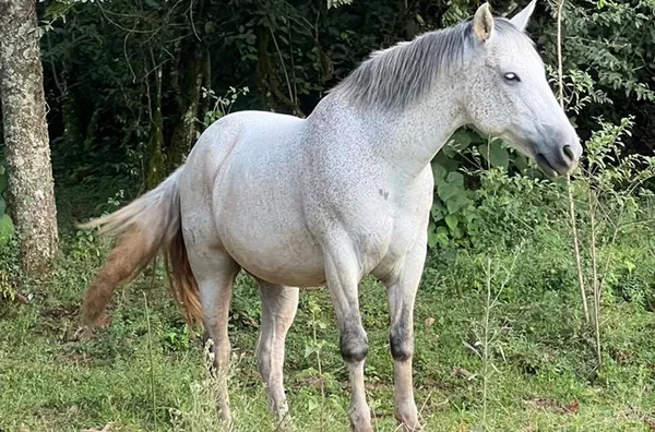ESPAÇO PERFEITO PARA CRIAR MEMÓRIAS COM SUA FAMÍLIA