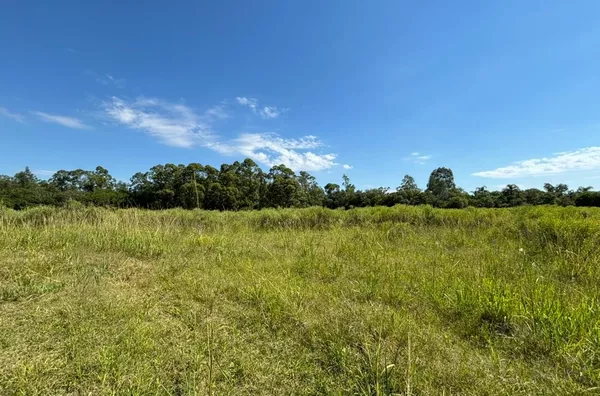 CHÁCARA COM BOA COBERTURA DE ÁREA VERDE E ESPAÇO PARA PLANTIO