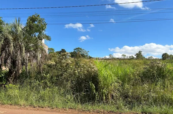 DOIS TERRENOS LADO A LADO NA PRINCIPAL RUA DE LINHA TRAVESSA