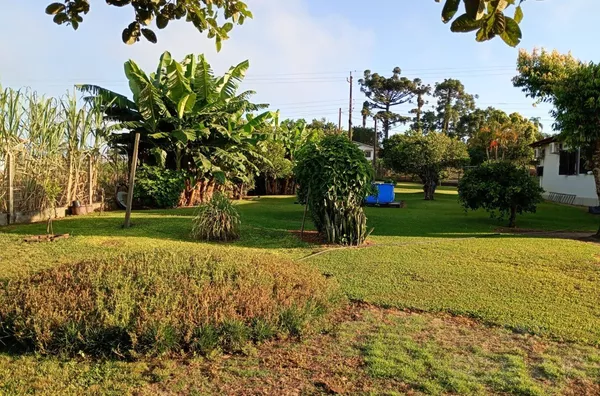 SEU INVESTIMENTO HOJE PODE RENDER GRANDES FRUTOS PRA FAMÍLIA