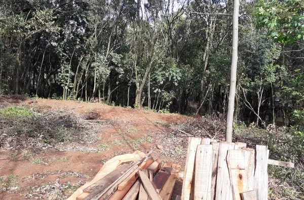 CASA ESTILO RÚSTICO EM MEIO A ÁREA VERDE, EM CERRO ALEGRE ALTO