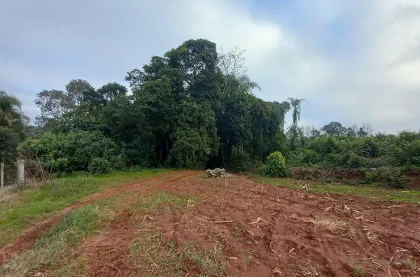 4,5ha DE ÁREA DE TERRA COM 50% SENDO DE PLANTIO