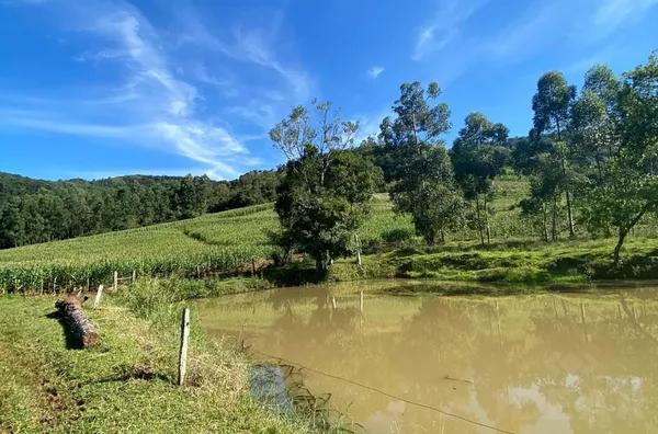 TERRA COM 75% DE ÁREA DE PLANTIO E ESTRUTURA PARA O CULTIVO DO FUMO