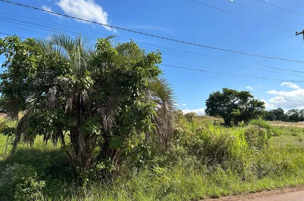 DOIS TERRENOS LADO A LADO NA PRINCIPAL RUA DE LINHA TRAVESSA