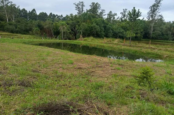 TROQUE O BARULHO DA CIDADE PELO CANTO DOS PÁSSAROS