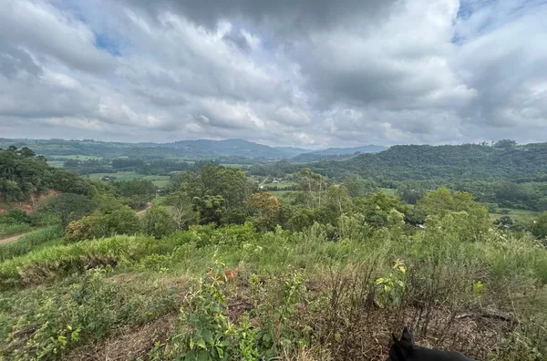 ÁREA DE 2,3ha COM RELEVO INGREME PARA CABANAS TURÍSTICAS