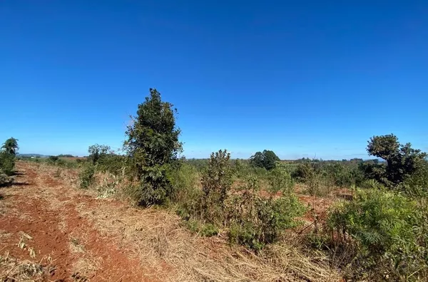 ÁREA DE TERRA BEM PRÓXIMO DA VILA PALANQUE, COM 100% DA ÁREA PARA PLANTIO