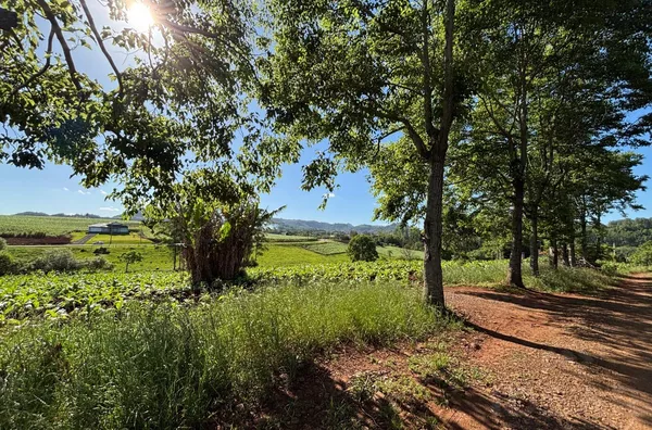 MINI-CHÁCARA EM ÓTIMA LOCALIZAÇÃO E CONFORTO PARA A FAMÍLIA