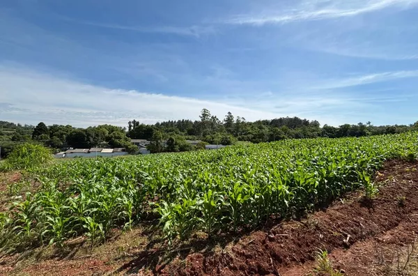TERRENO 80m DO ASFALTO, COM OPÇÃO DE AUMENTO DE ÁREA!