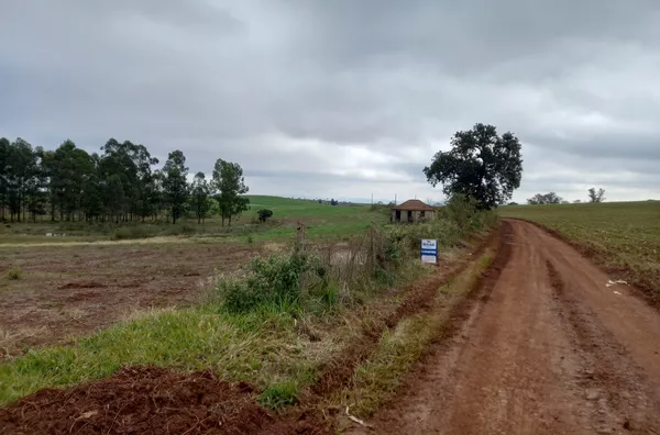 9,6ha DE ÁREA DE TERRA COM 90% SENDO DE PLANTIO