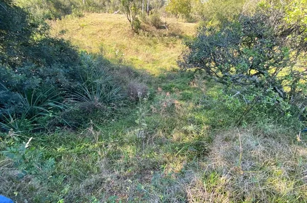 GRANDE OPORTUNIDADE!!! ÁREA DE TERRA COM 150m DE FRENTE PARA A FUTURA DUPLICAÇÃO ASFÁLTICA