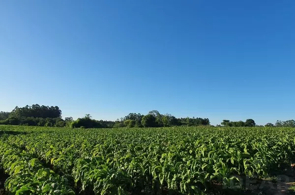 MUITO ESPAÇO PARA VOCÊ E SUA FAMÍLIA, NESSA BELA ÁREA PARA SEU LAZER