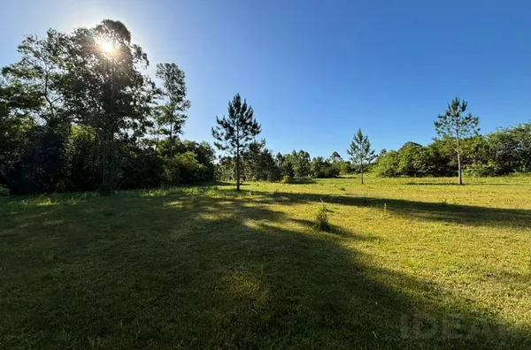 NADA MELHOR DO QUE ESTÁR EM MEIO A NATUREZA. A CRIATIVIDADE É SUA