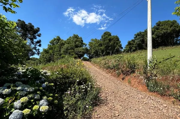 CHÁCARA COM 75% DE ÁREA PARA PLANTIO