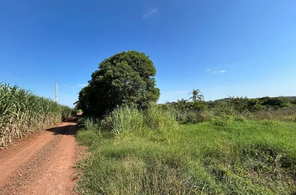 MAIS DE 11ha DE PLANTIO E LAZER PARA TODA A FAMÍLIA