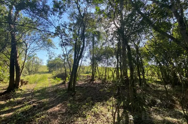 MUITA ÁREA PARA PLANTAR, AÇUDE E ÁREA VERDE PARA O LAZER DA FAMÍLIA