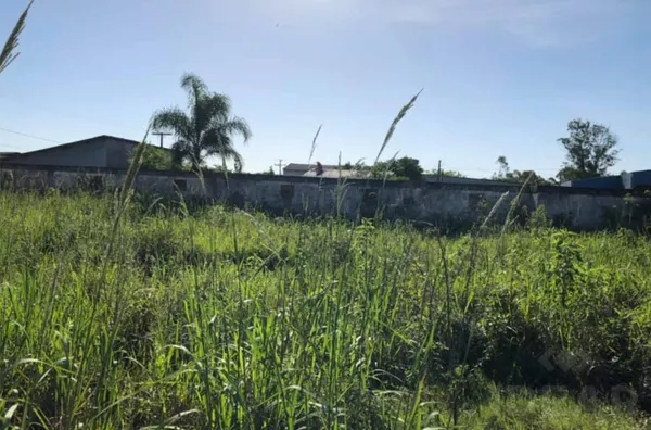 TERRENO DE 445m² PARA VOCÊ QUE QUER CONSTRUIR SUA FUTURA CASA