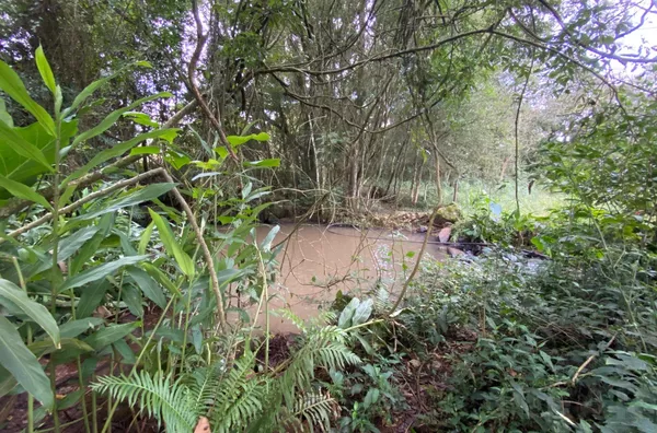 INVESTIDOR OU APENAS DESCANSO. CHÁCARA DE 2.494m² EM HERVAL