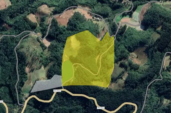 ÁREA DE TERRA COM ESPAÇO PARA ECOTURISMO E MUITA ÁREA PARA A CULTURA DO REFLORESTAMENTO