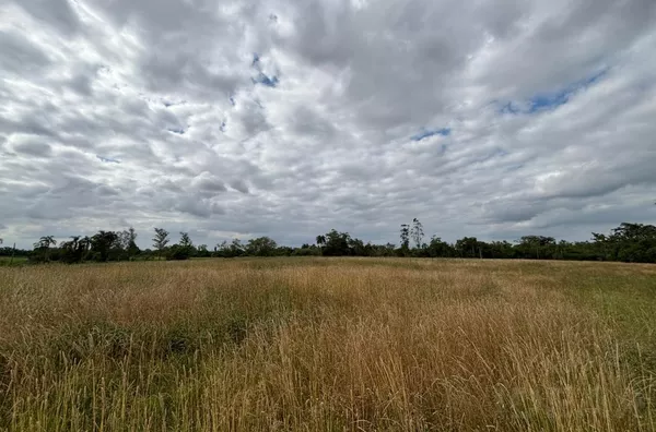 PROCURANDO ÁREA GRANDE ou PEQUENA? ACABA DE ACHAR!