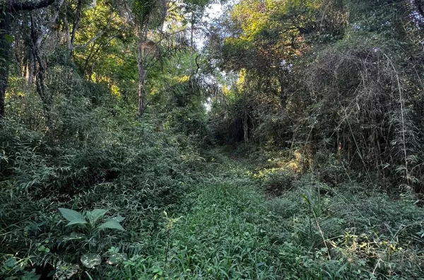 ÁREA DE TERRA COM 70% DE PLANTIO A MINUTOS DO CENTRO