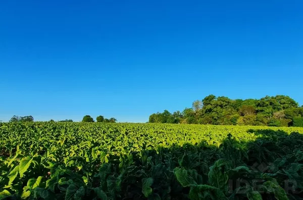 MUITO ESPAÇO PARA VOCÊ E SUA FAMÍLIA, NESSA BELA ÁREA PARA SEU LAZER