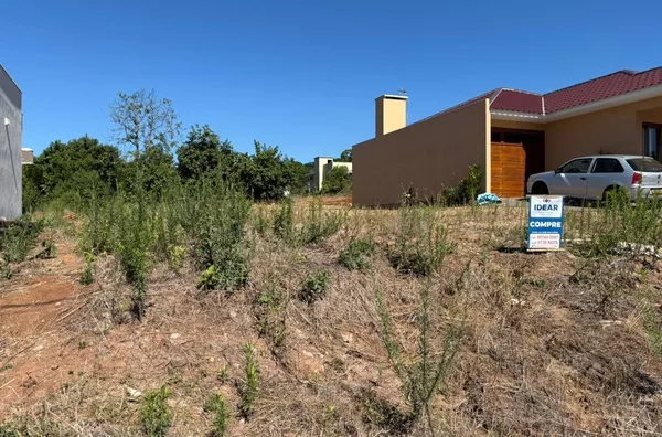 PROCURANDO TERRENO PARA INVESTIR NA FAMÍLIA