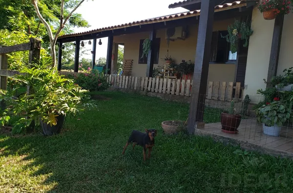 Chácara pronta para moradia, produção de fumo e estufa de morangos