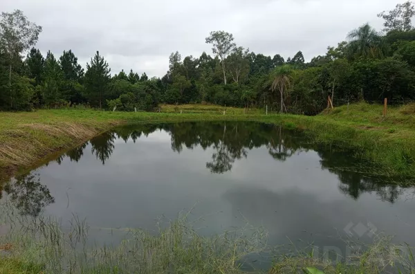 TROQUE O BARULHO DA CIDADE PELO CANTO DOS PÁSSAROS