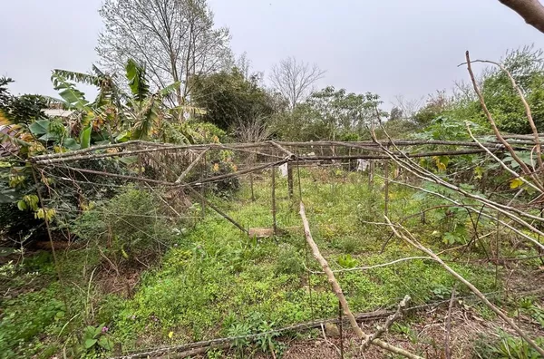 TERRENO DE ESQUINA AGUARDANDO SEU FUTURO EMPREENDIMENTO